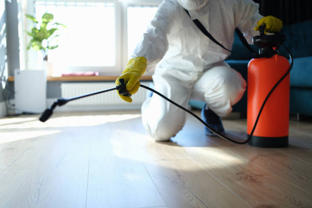 Reliable Odor Removal contractor in Graham, WA by Trauma Clean Pros